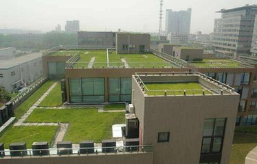 種植屋面用耐根穿刺防水材料